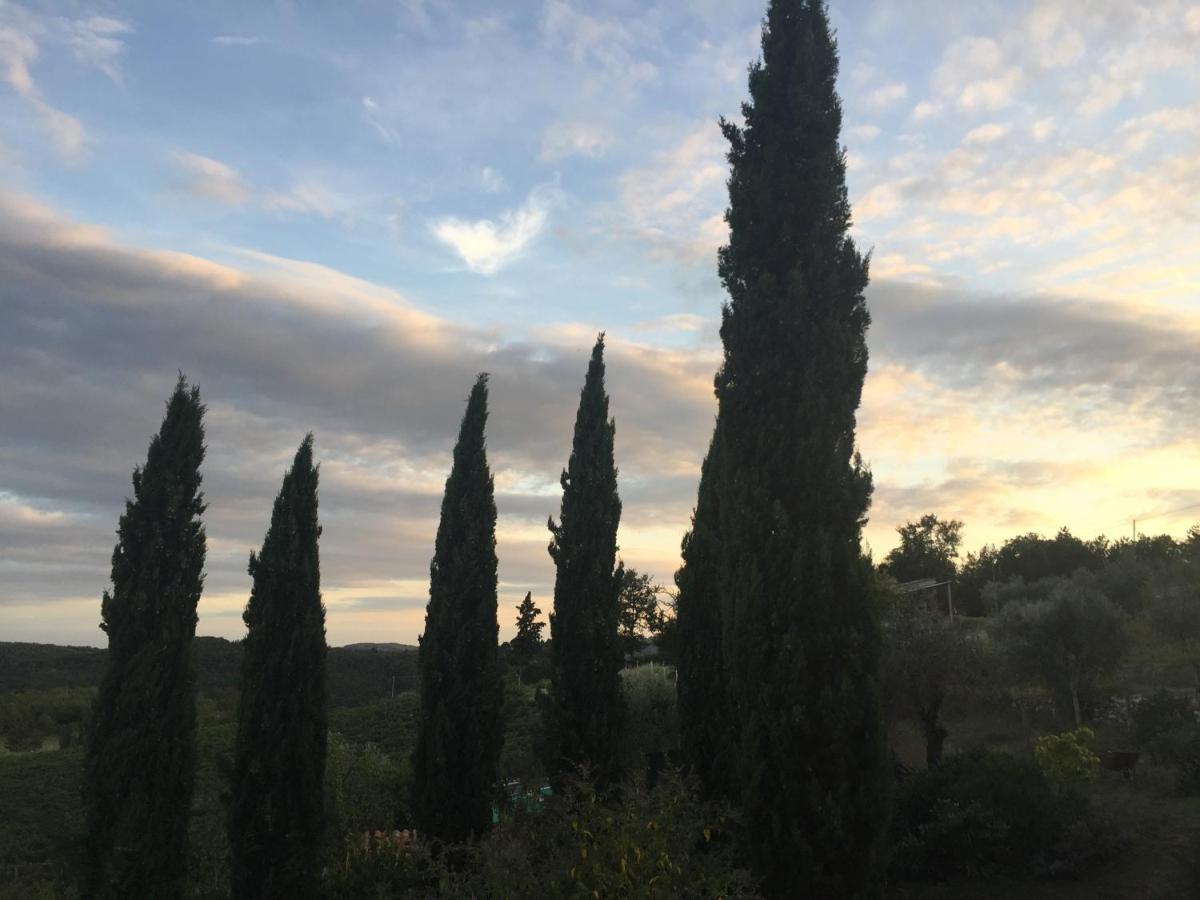 Agriturismo Malpensata Radda in Chianti Exterior photo