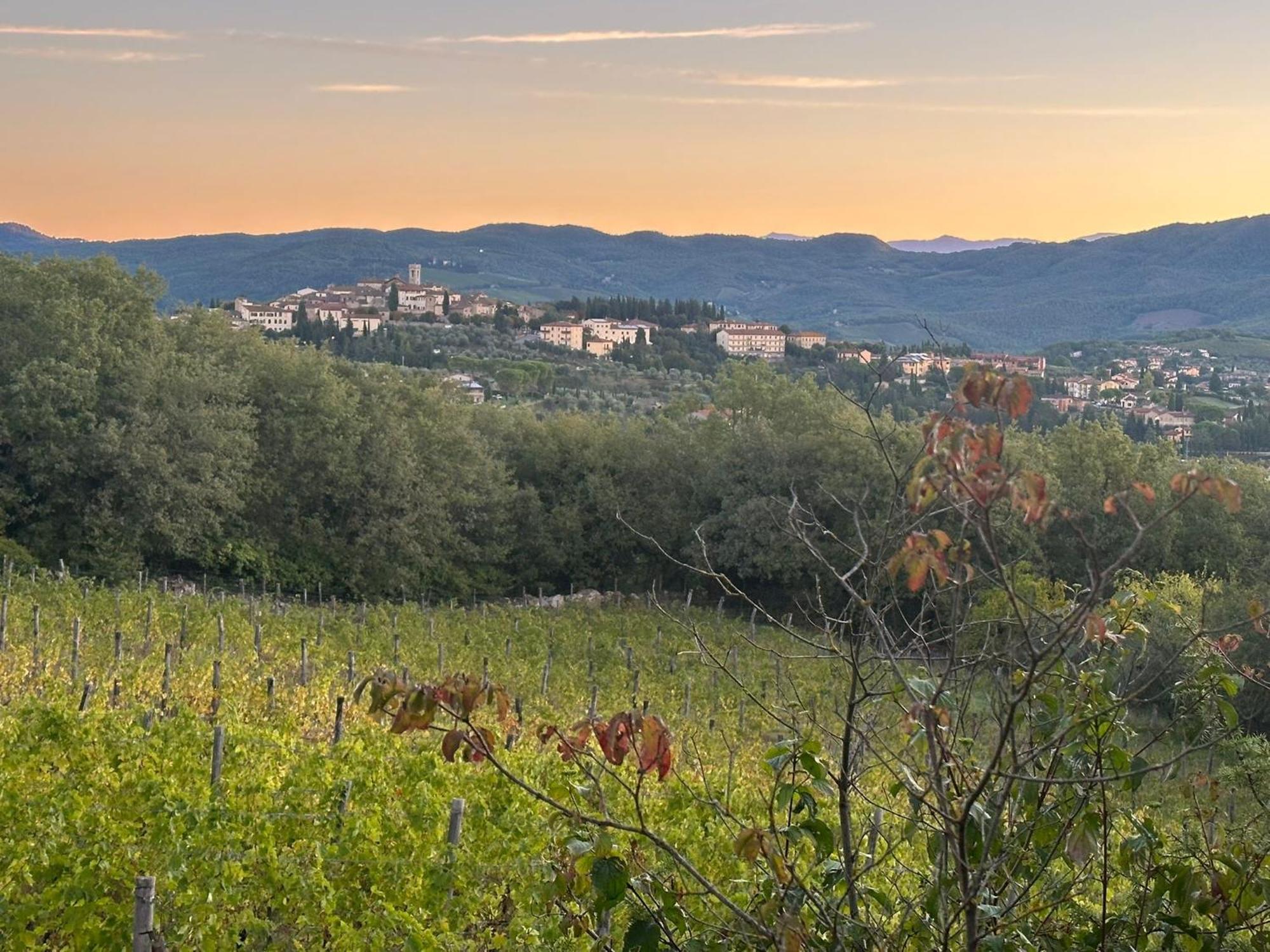 Agriturismo Malpensata Radda in Chianti Exterior photo
