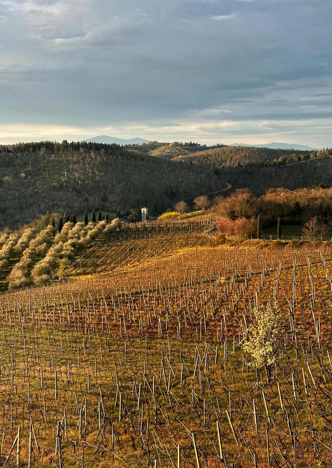 Agriturismo Malpensata Radda in Chianti Exterior photo
